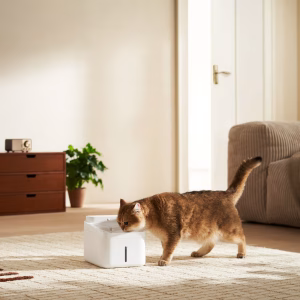 Xiaomi smart pet fountain - with cat drinking from fountain